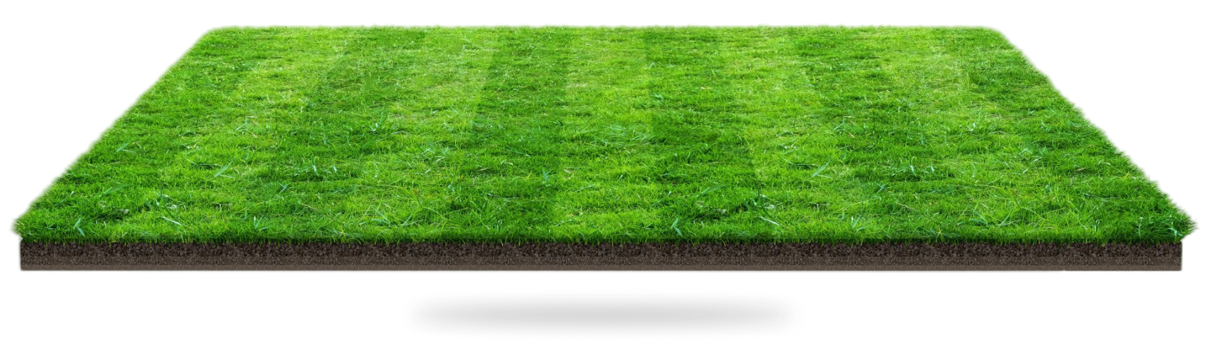 Online betting player graphic � Best Cricket ID