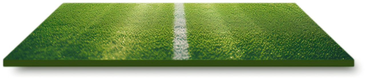 Player illustration � Best Cricket ID gameplay